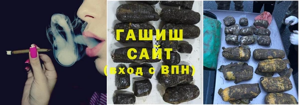 гидра Гусиноозёрск