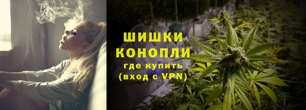 гидропоника Гусь-Хрустальный