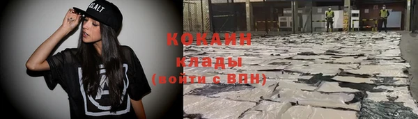 гидра Гусиноозёрск