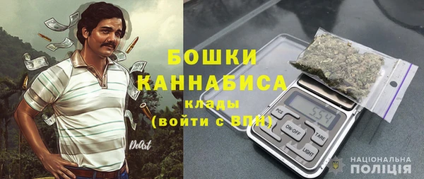 гидропоника Гусь-Хрустальный