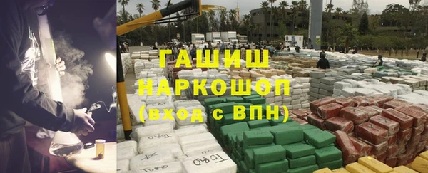 гидра Гусиноозёрск