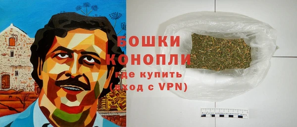 гидра Гусиноозёрск