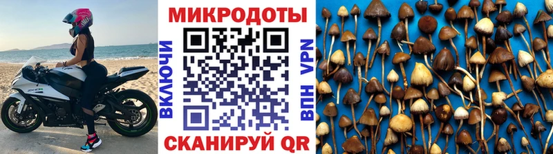 Галлюциногенные грибы Psilocybe  цена наркотик  Солнечногорск 